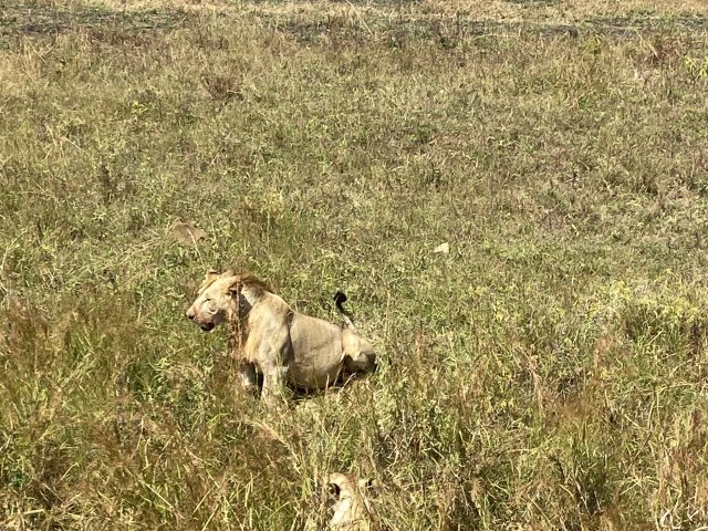 13 giorni in Tanzania e Zanzibar con un ottimo rapporto qualità-prezzo