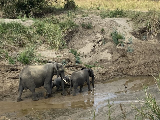 13 giorni in Tanzania e Zanzibar con un ottimo rapporto qualità-prezzo