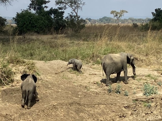 13 giorni in Tanzania e Zanzibar con un ottimo rapporto qualità-prezzo