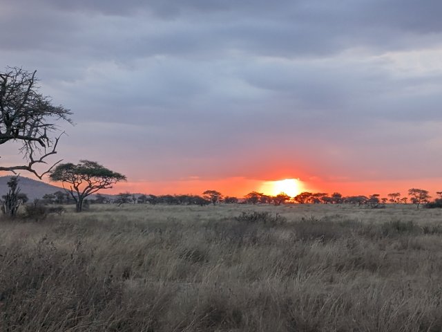 13 giorni in Tanzania e Zanzibar con un ottimo rapporto qualità-prezzo