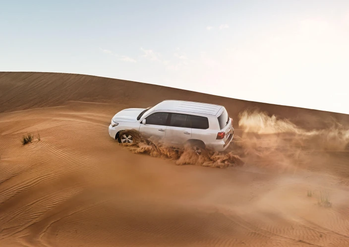 As maravilhas de Dubai - Manhã livre e safári no deserto com jantar de churrasco. - Matinée libre et safari dans le désert avec diner au barbecue
