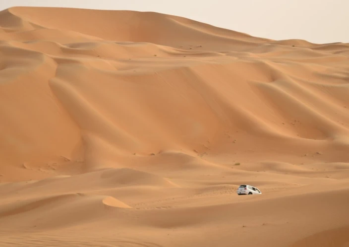 Complete stay in the United Arab Emirates - 9 days - Free day in Dubai for shopping. - Journée libre à Dubaï pour faire du shopping