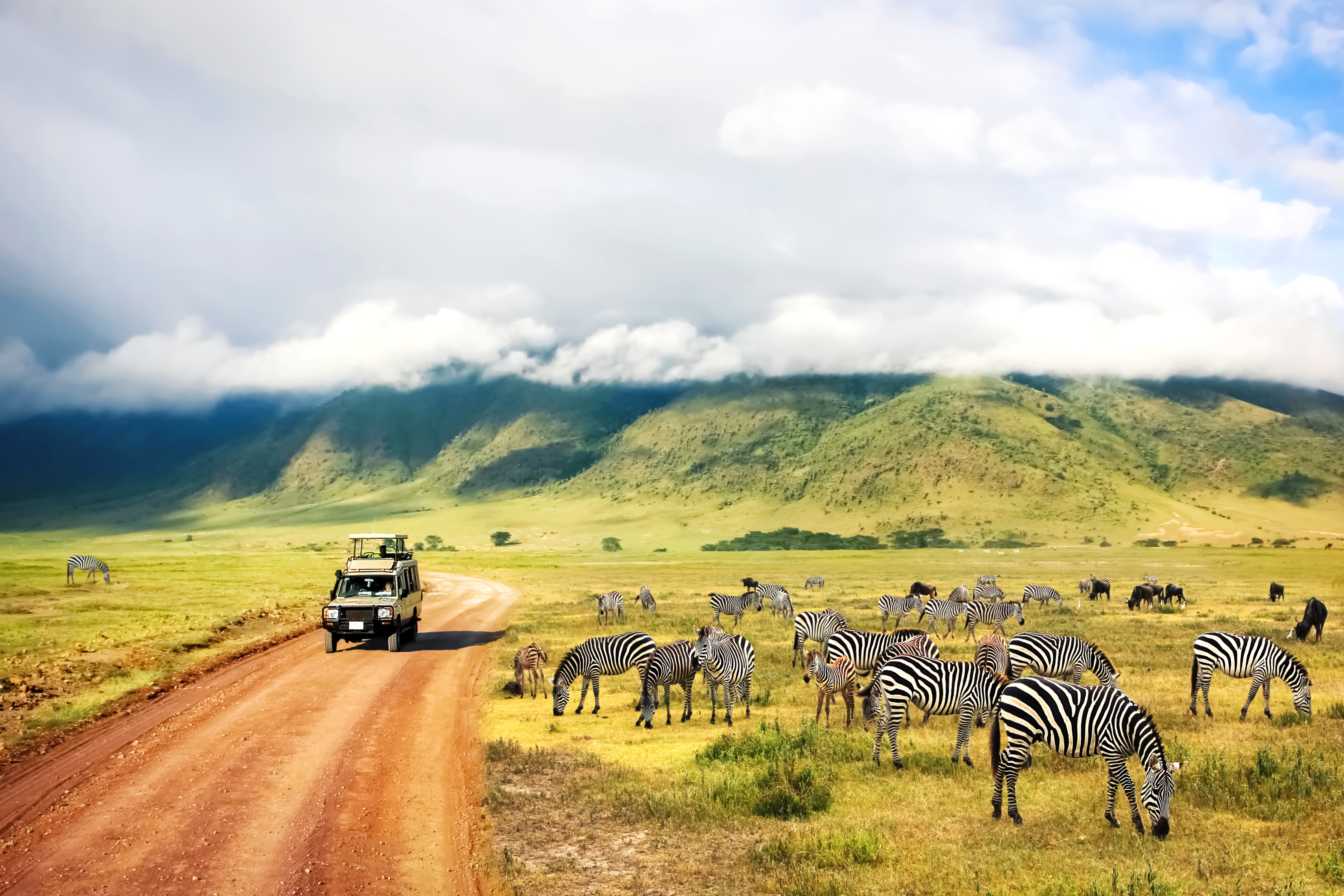 Équipement pour un safari photo en Afrique - Au cœur de la nature