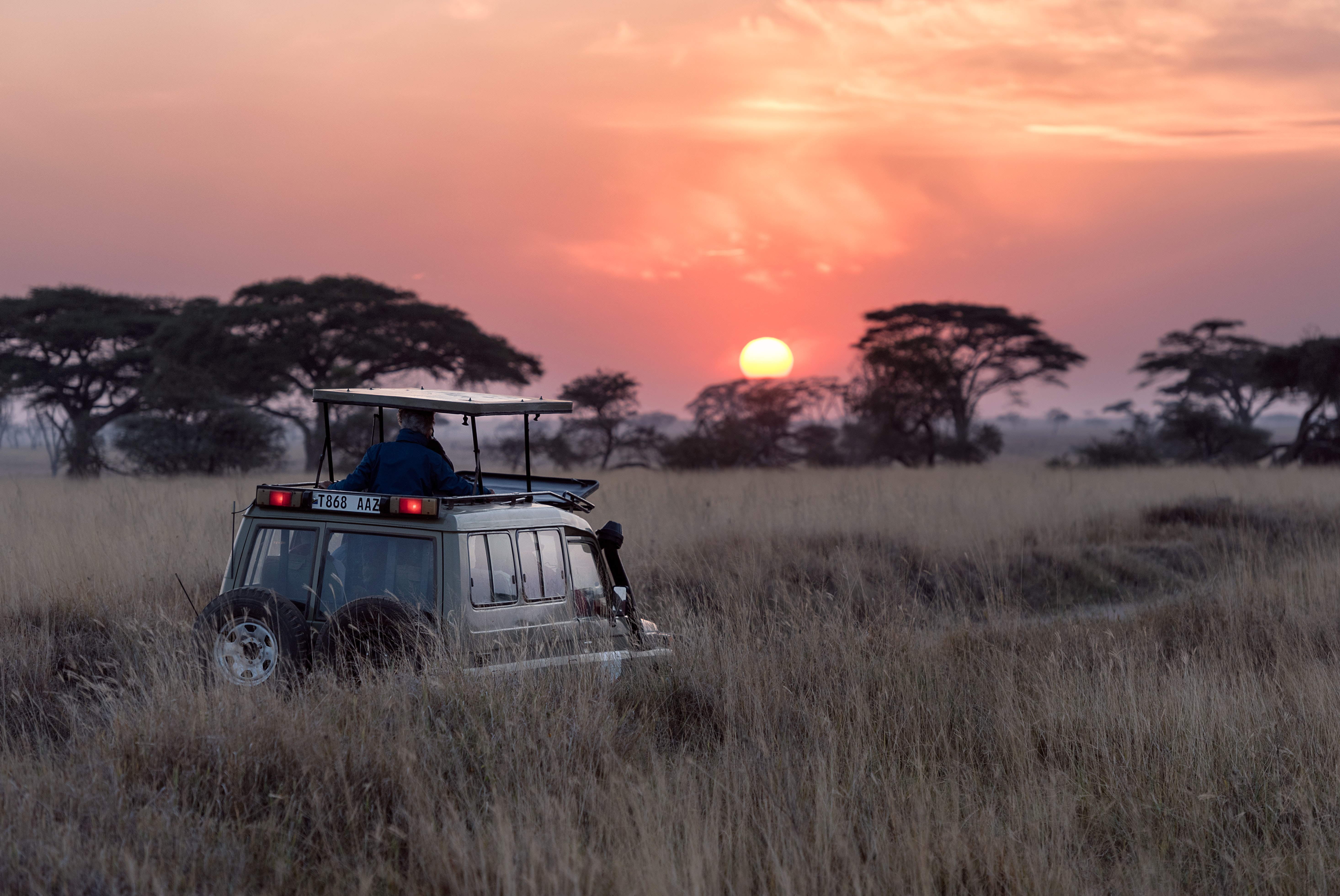 Où faire un safari en Afrique? Meilleurs pays, budget, saison