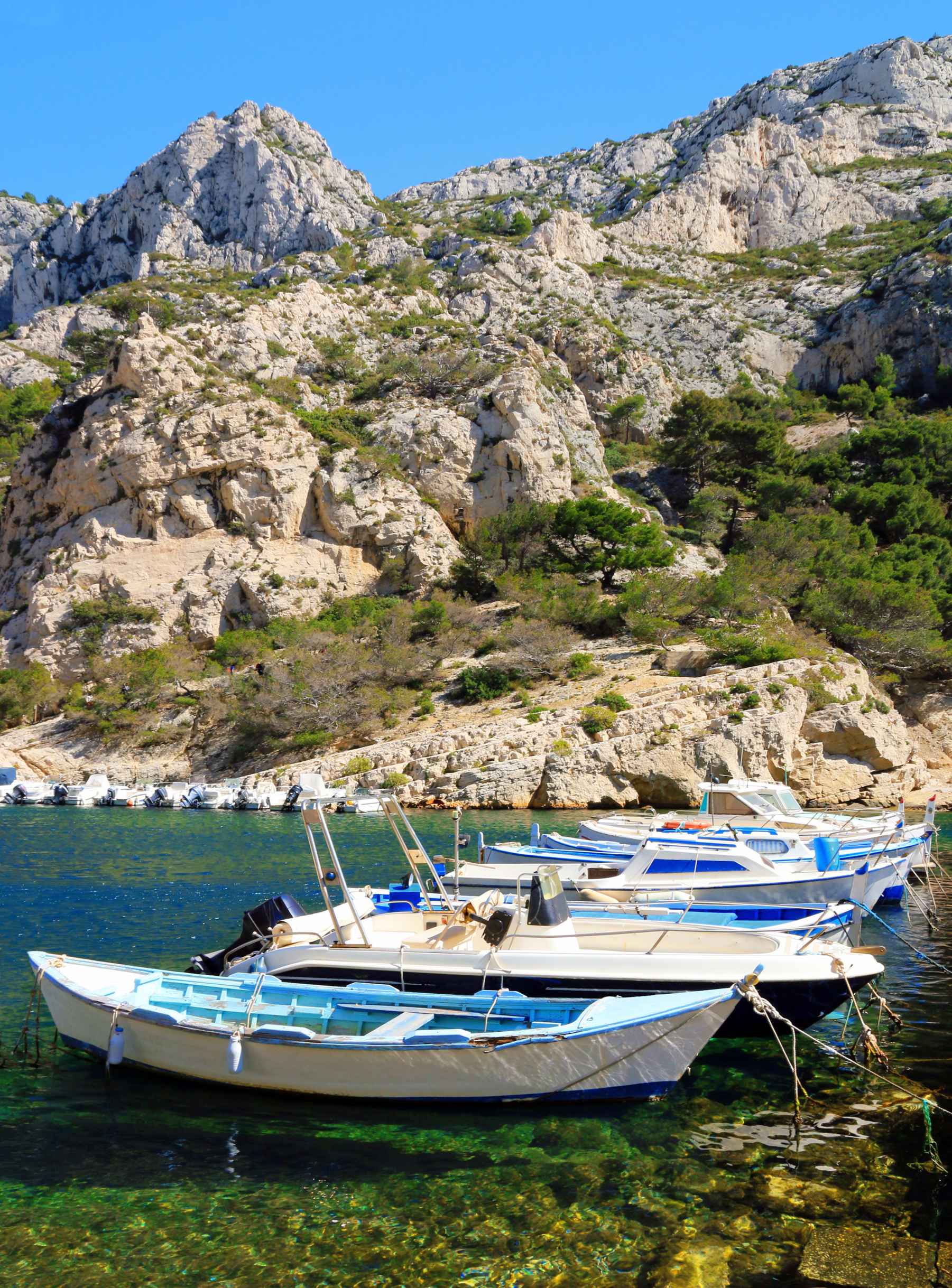 Conheça Chipre! Tudo sobre a encantadora ilha europeia de lindas praias e  muitos gatos!