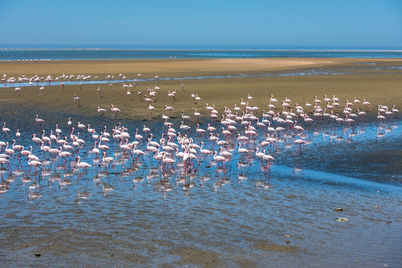 Séjour Namibia, Namibia's essentials in one week