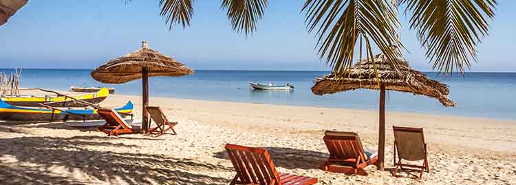 Palmiers et transats sur la plage d'Ifaty