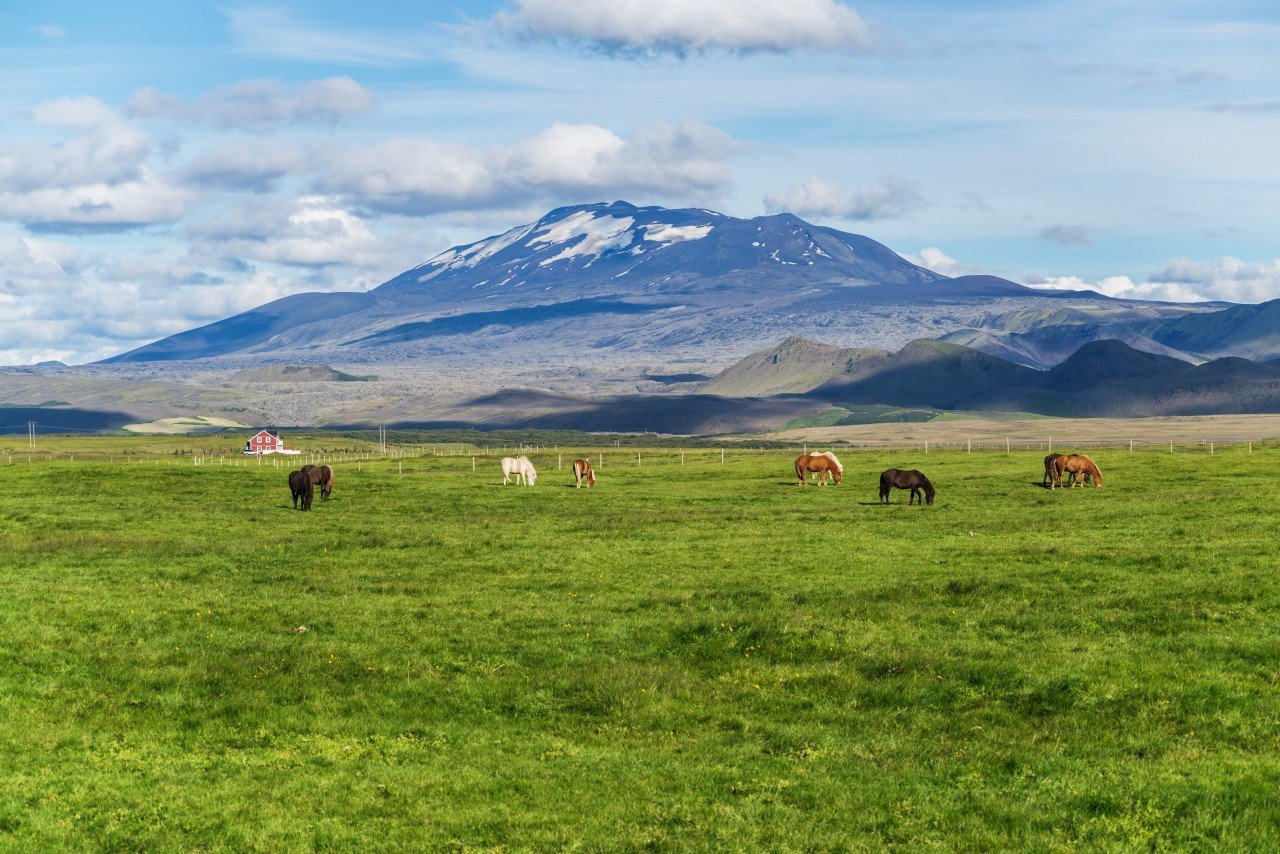 Giorno4 : Vulcano Hekla e Gola di Eldgjá