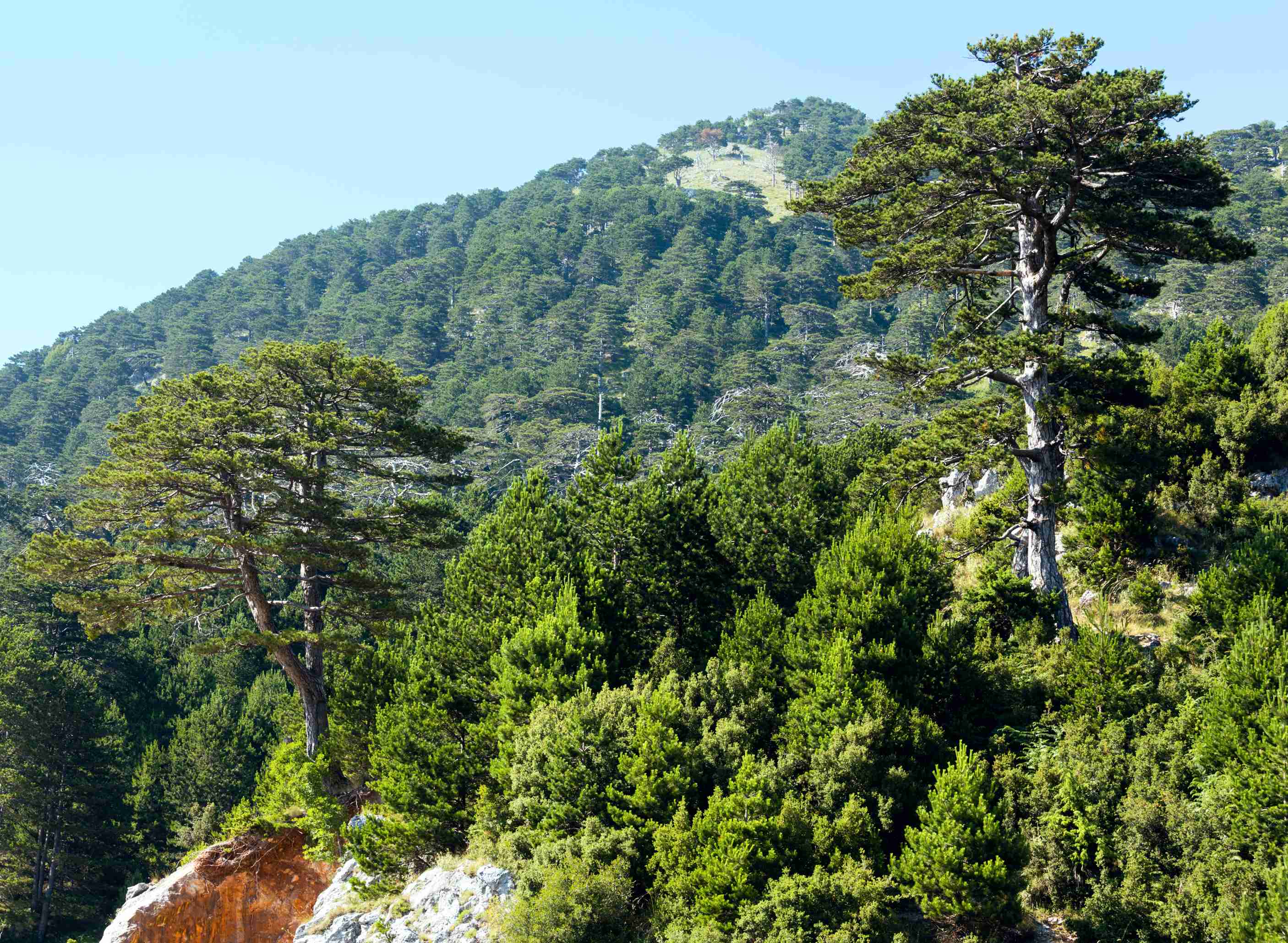 Le Parc National de Llogara, près d'Orikum.