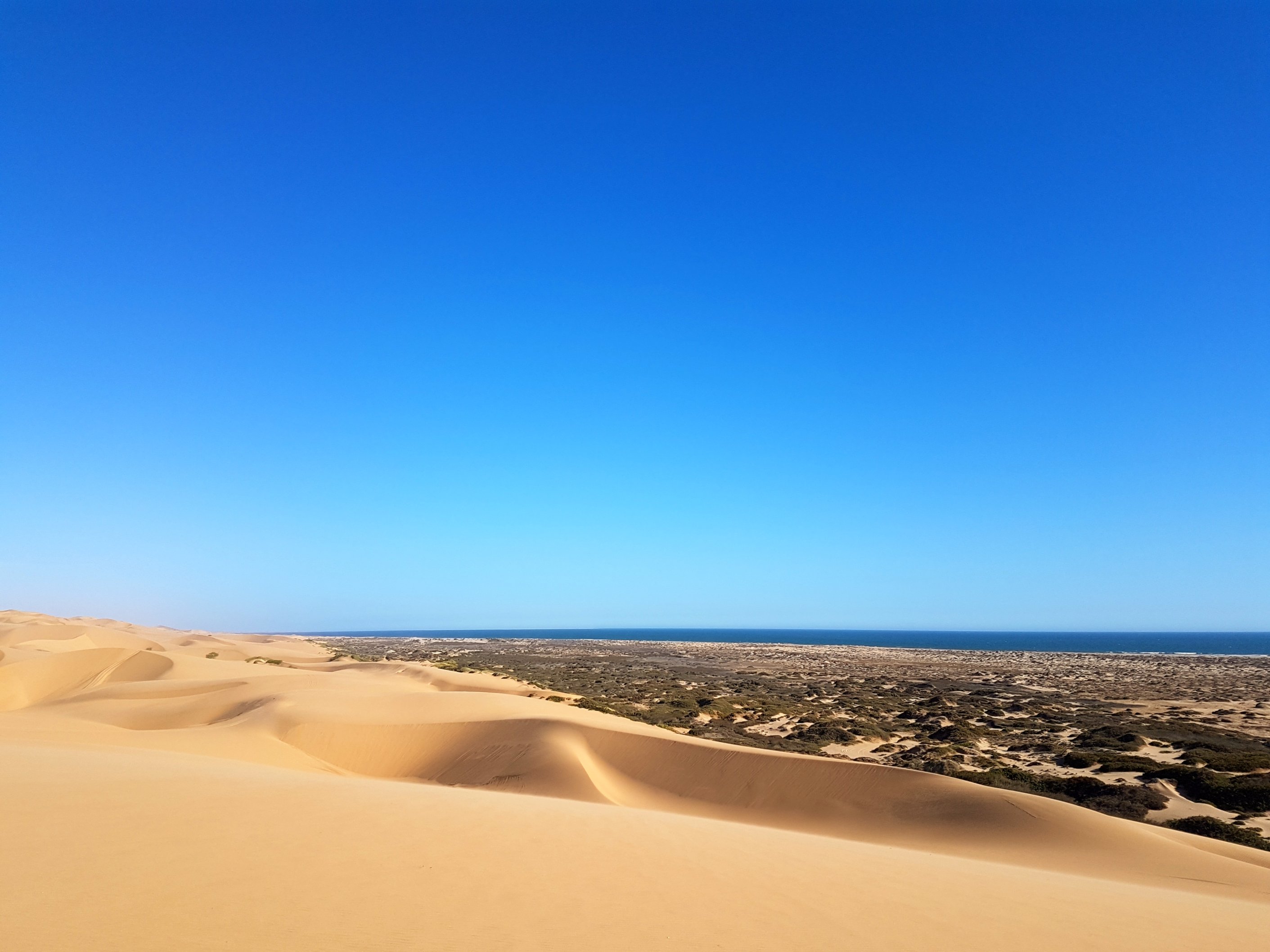 Entre désert et océan au sud de Walvis Bay.