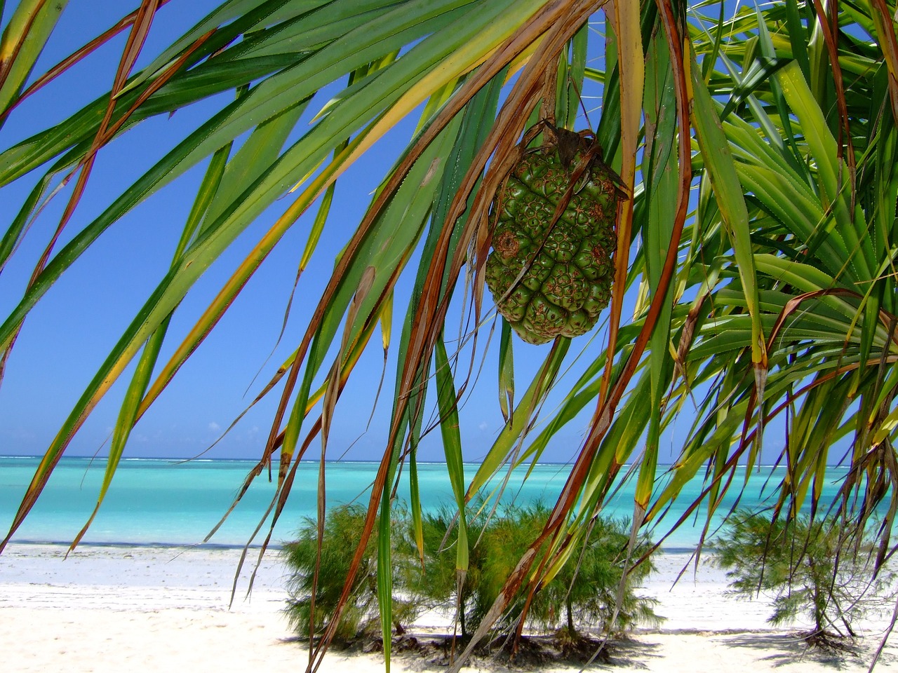 Plage Zanzibar