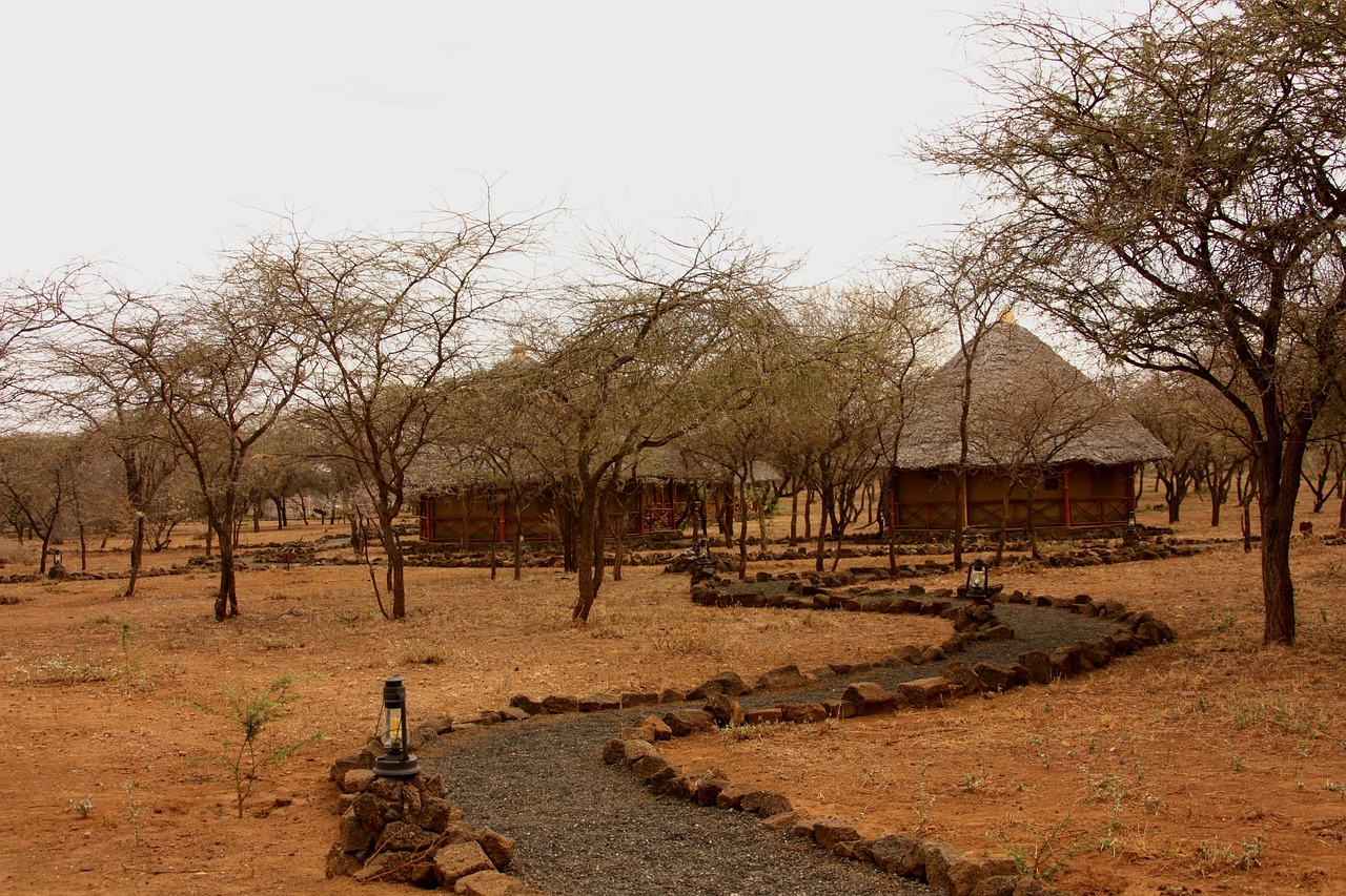 Day3 : Arusha, Lake Natron