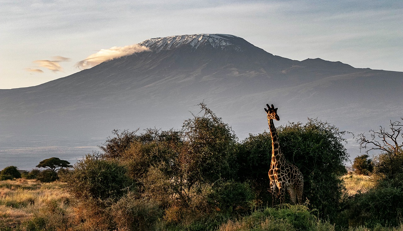 Tag1 : Ankunft Kilimandscharo