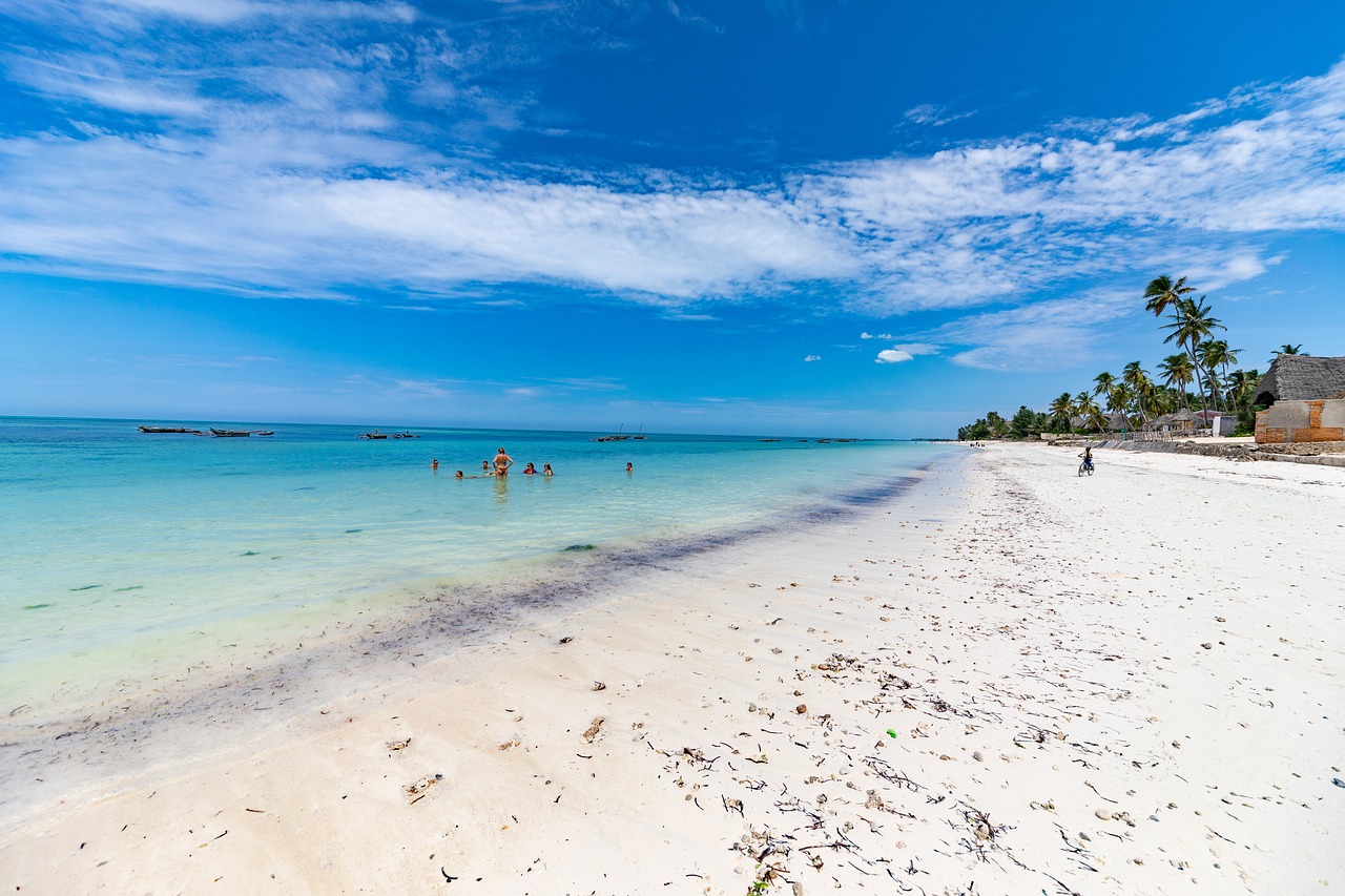 Jour9 : Serengeti, Arusha, Retour à la maison, Îles de Zanzibar