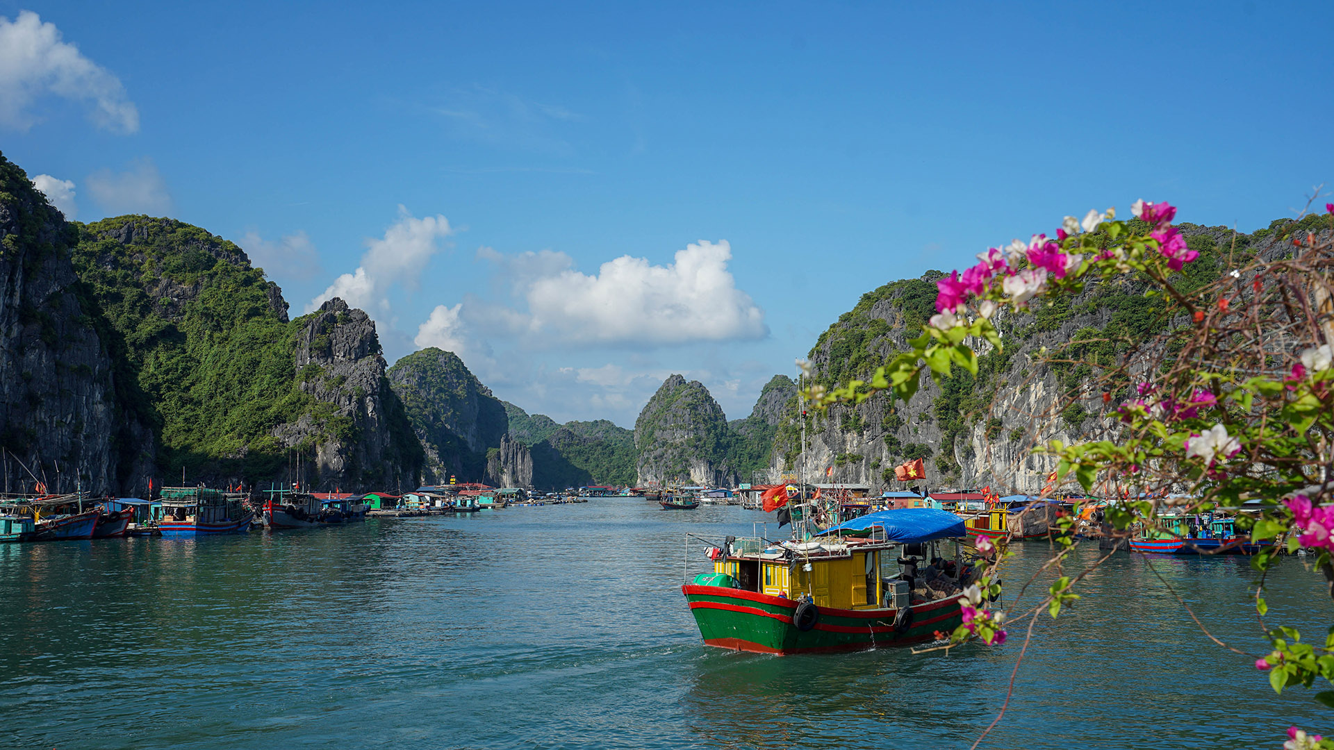 Jour13 : Jour 13 : Baie de Lan Ha, Ninh Binh