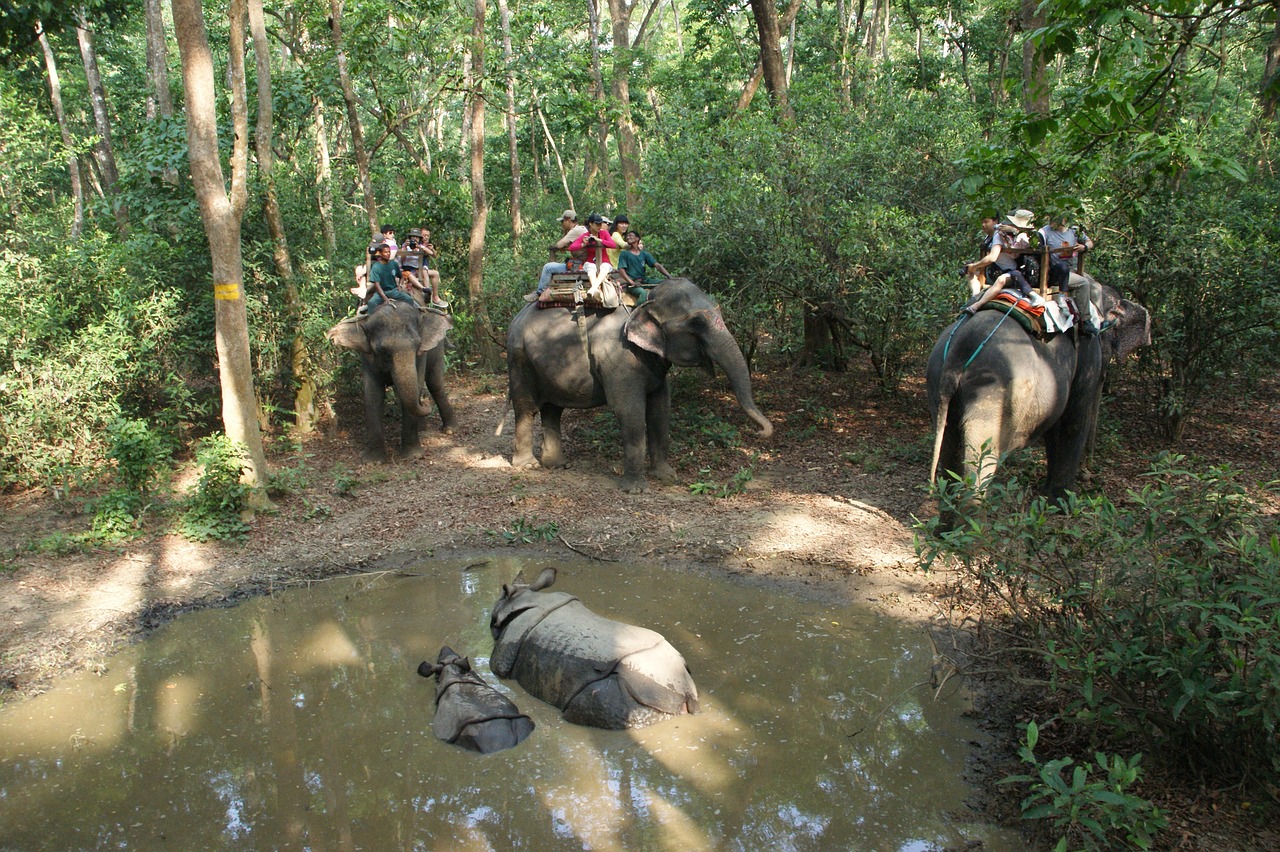 Day4 : Chitwan National Park