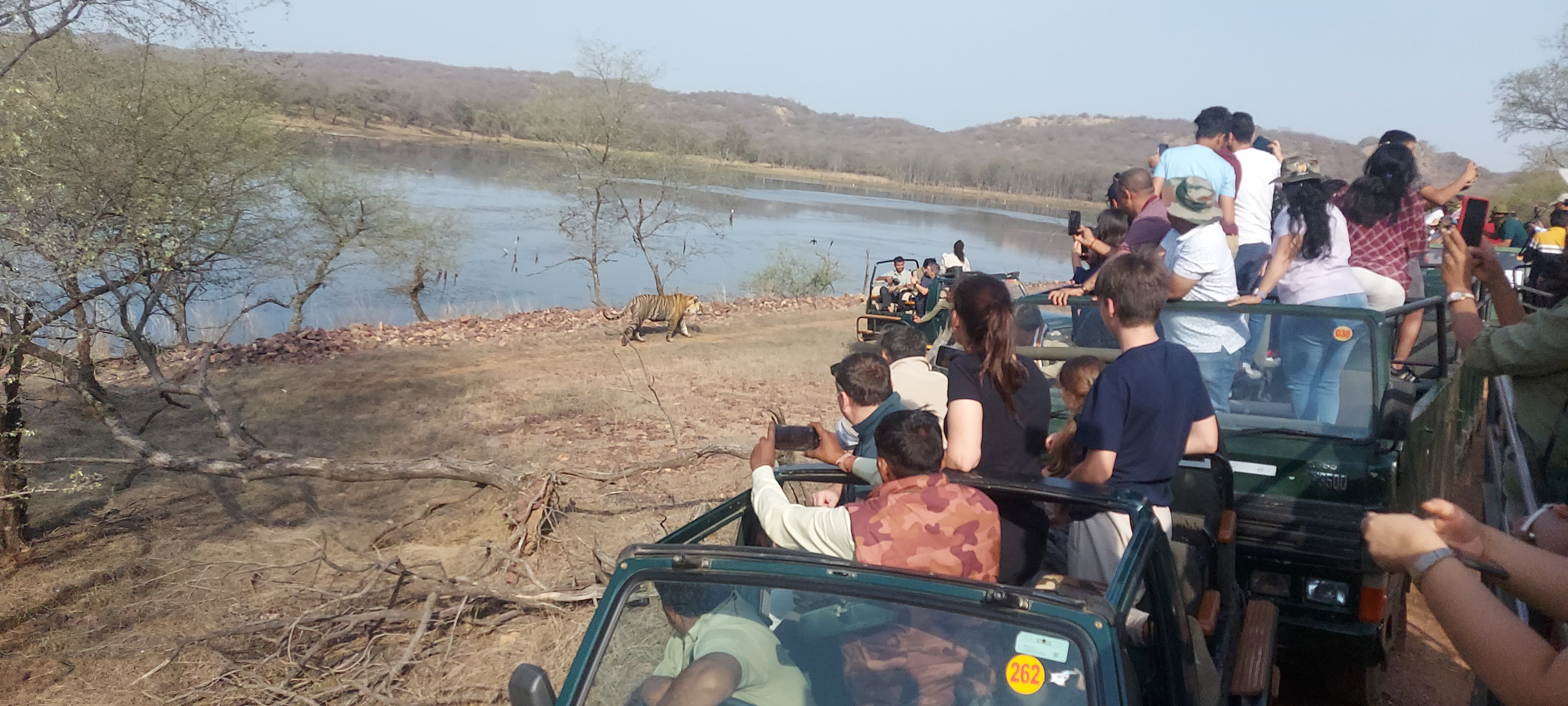 Day9 : RANTHAMBORE (opportunity to see a tiger)