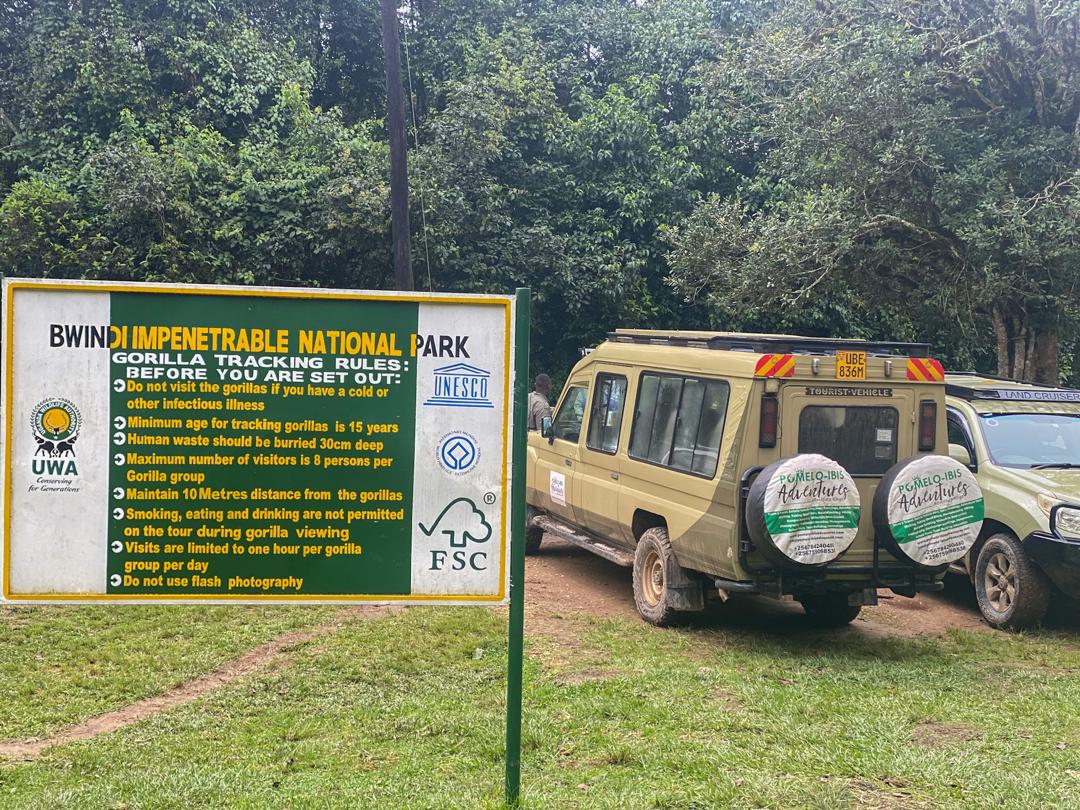 Dag1 : Dag 1 - Transfer naar Bwindi Impenetrable National Park met een binnenlandse vlucht