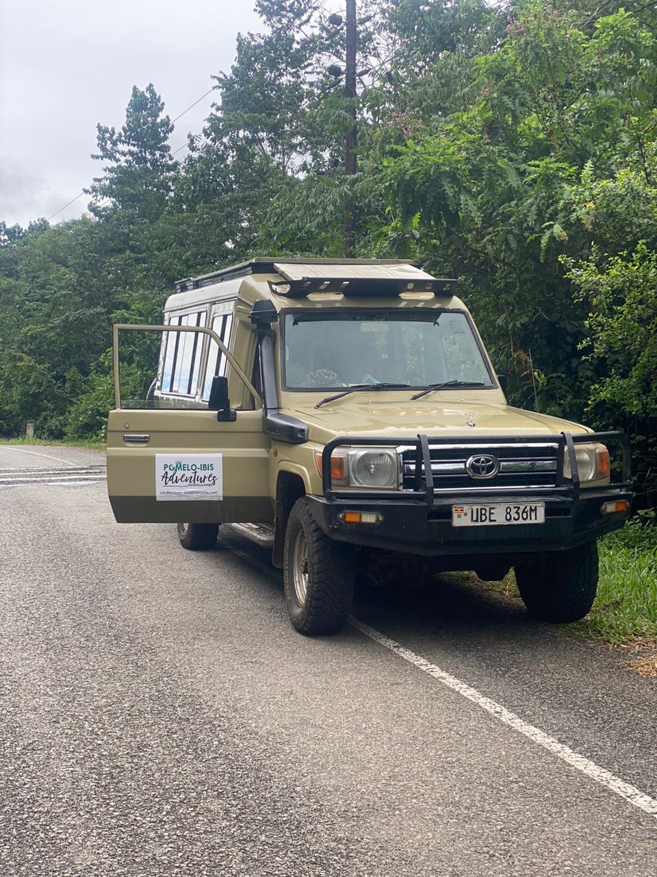 Jour4 : Transfert au parc national de Kibale pour les chimpanzés