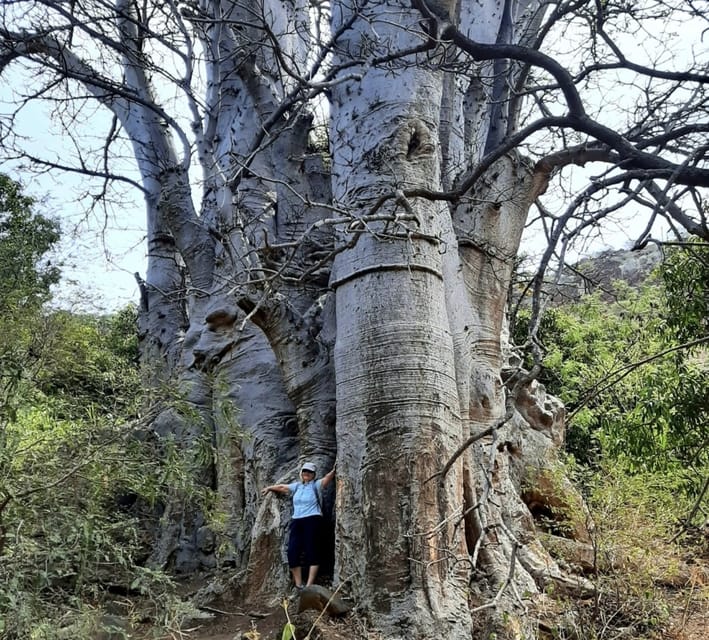 Jour2 : Randonnée dans la vallée de Ribeira Grande et la vieille ville