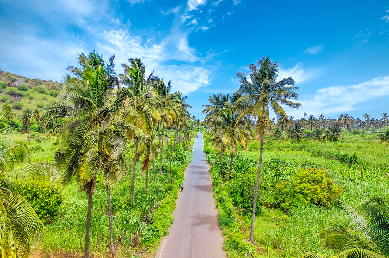 Day5 : Rural stroll through the coconut trees