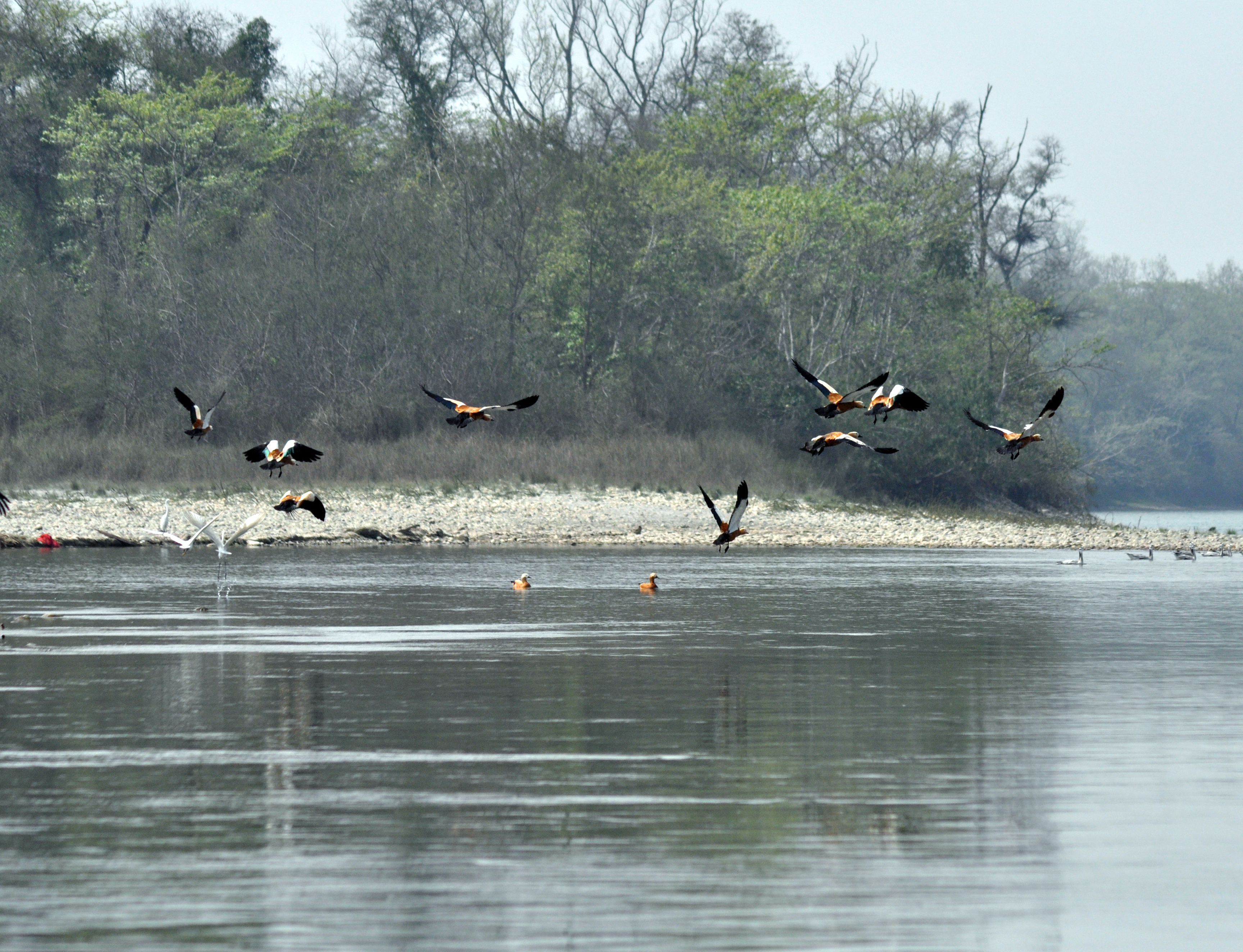 Day5 : Chitwan