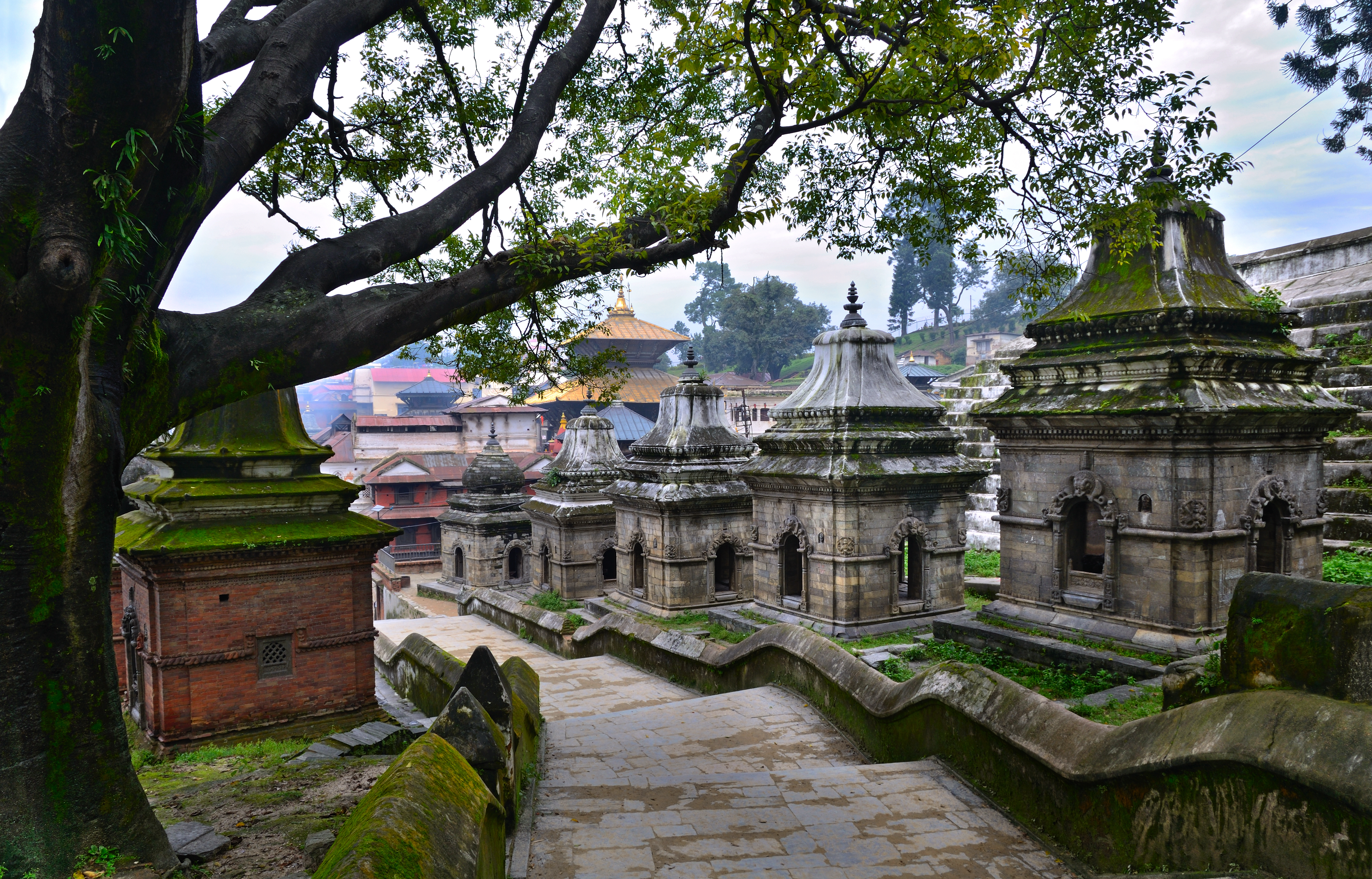 Day2 : Visit of Sacred Temples (Kathmandu)