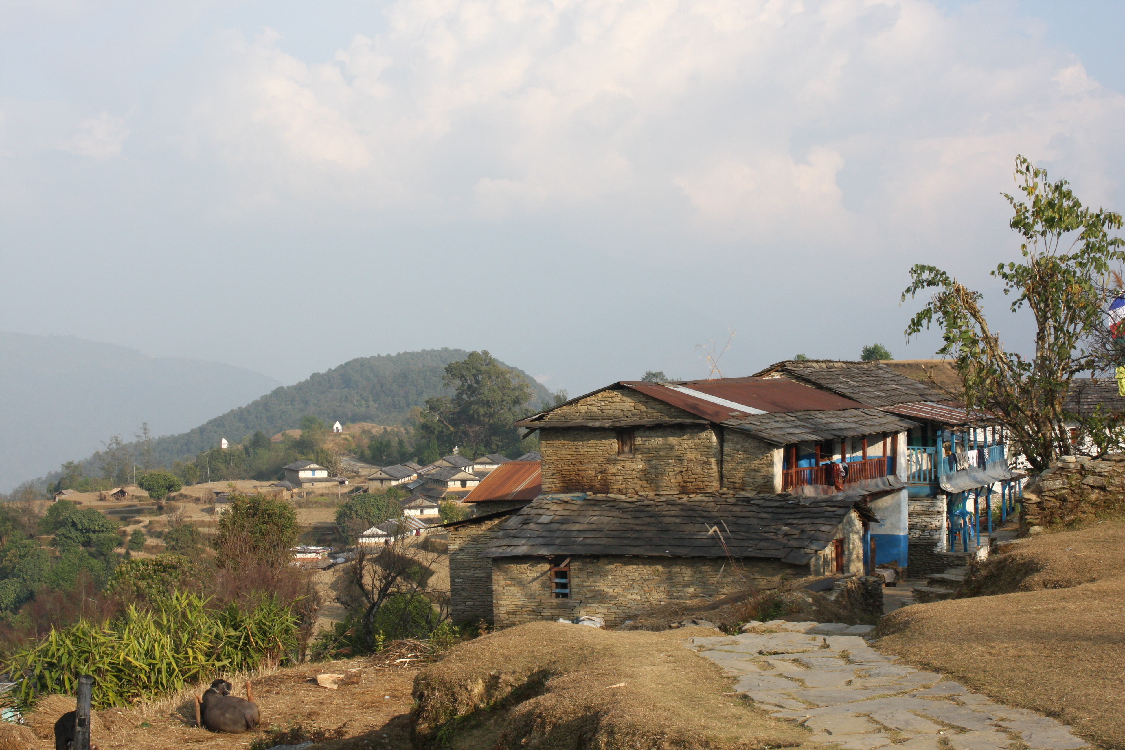 Jour3 : Route vers Dhampus (via Pokhara) (245 km)