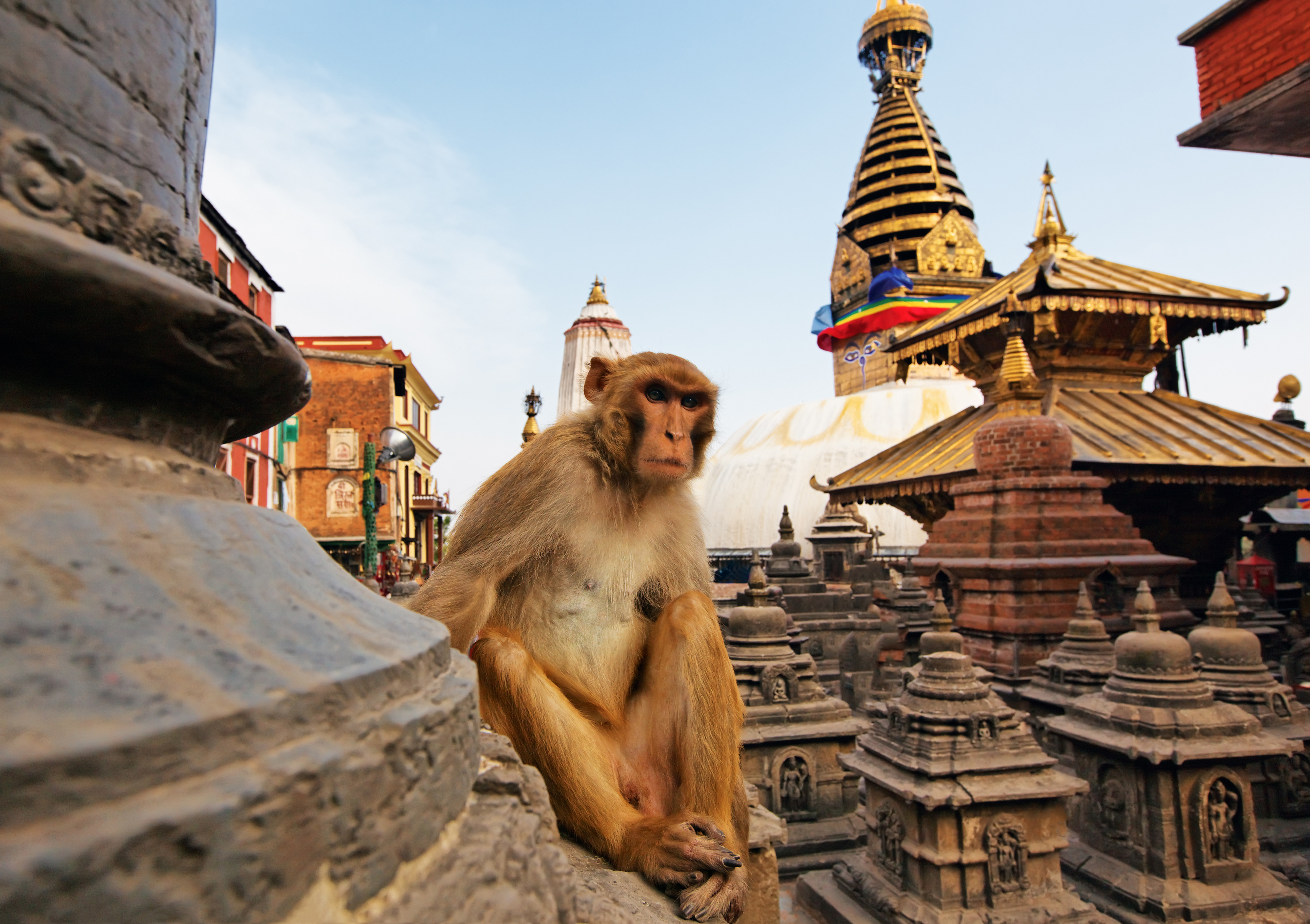 Day8 : Exploring the Kathmandu Valley