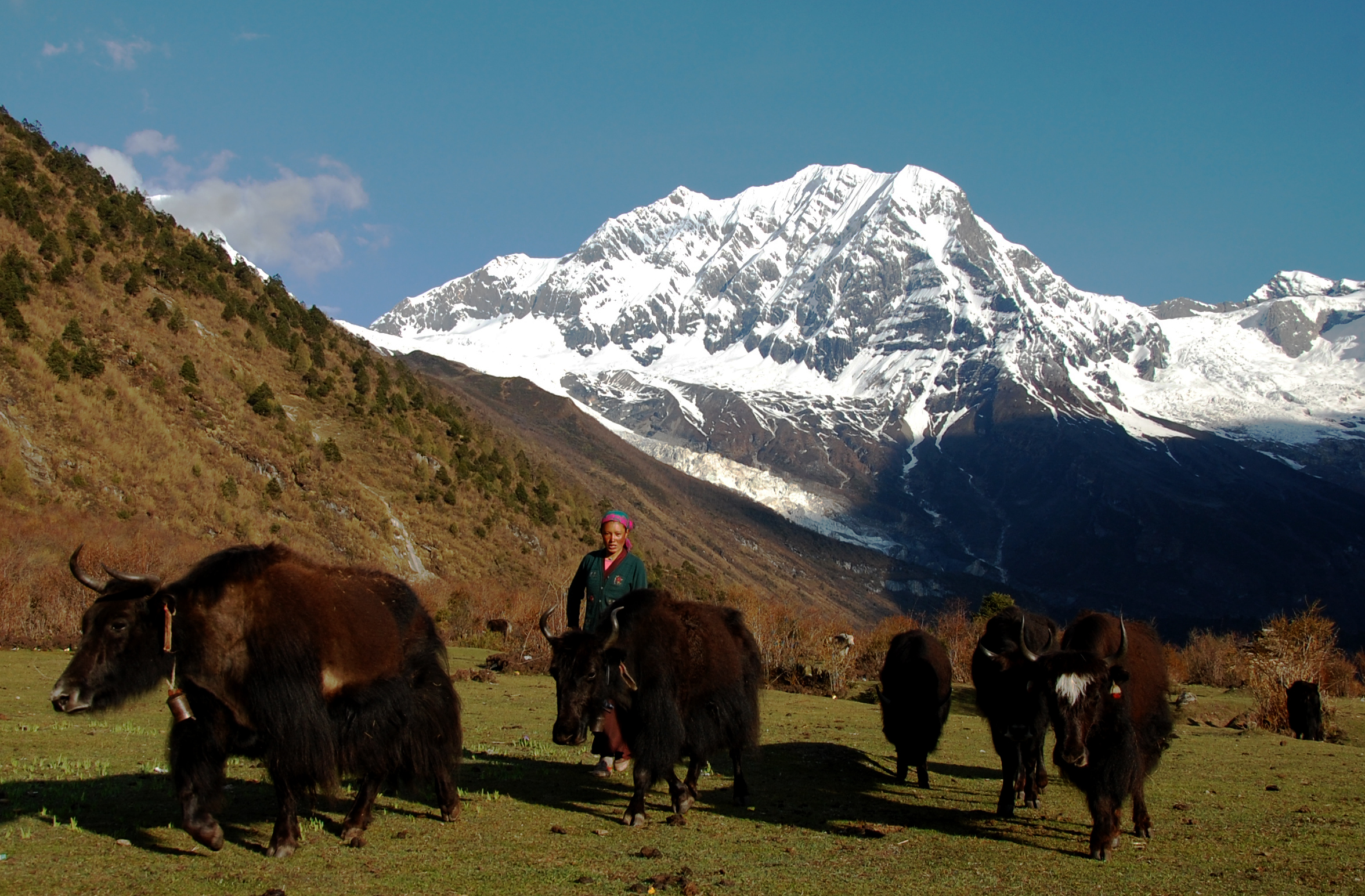 Jour9 : Dingboche à Gorakshep