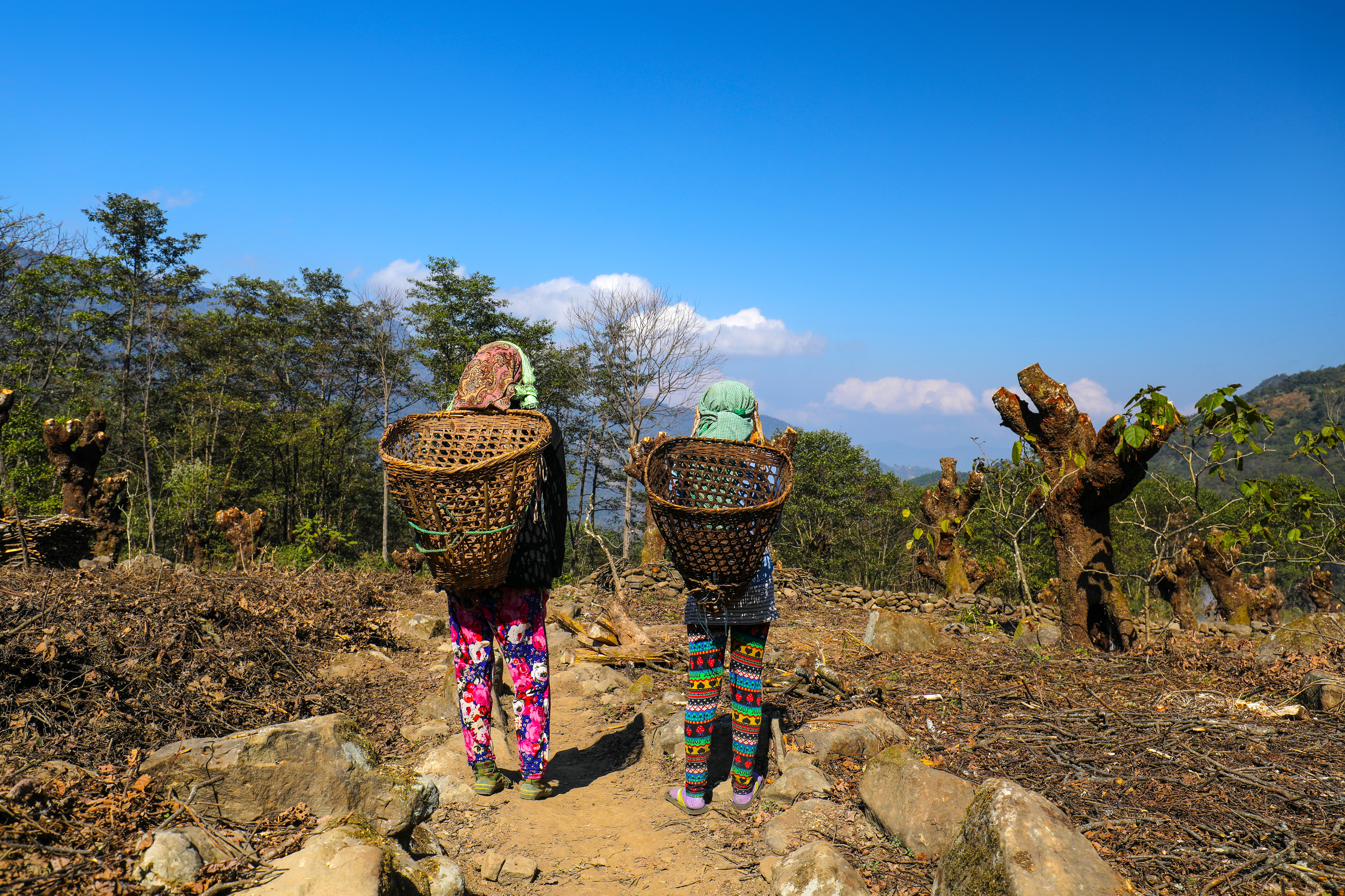 Jour17 : A Shillong - Excursion d'une journée à Cherrapunjee