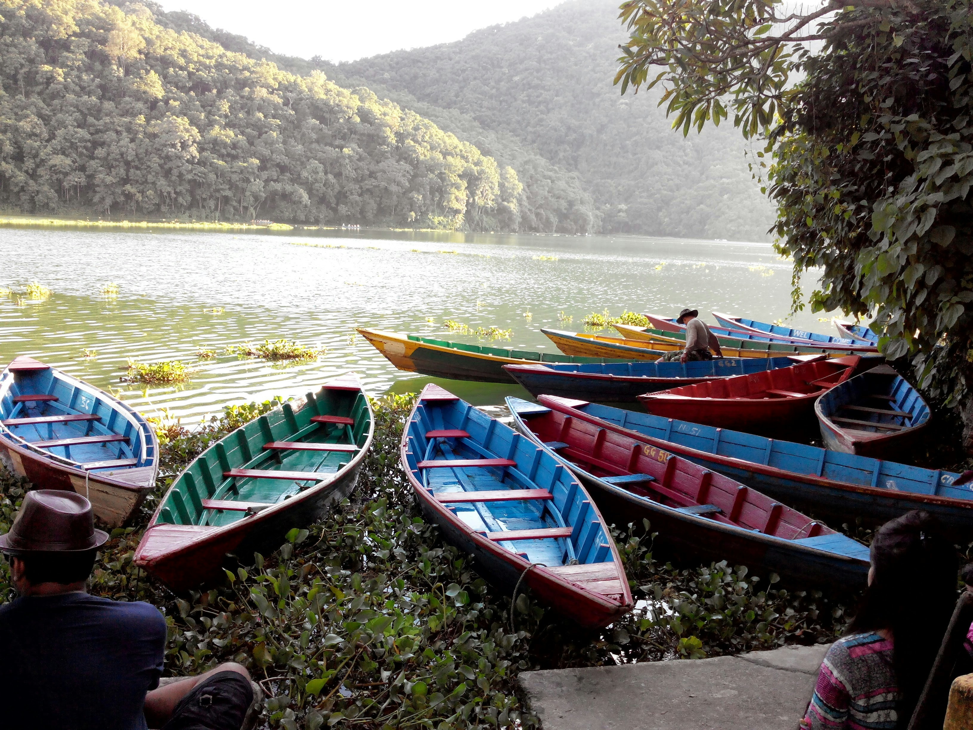 Jour2 : Katmandou- Pokhara- Tashi Ling Village Tibétain