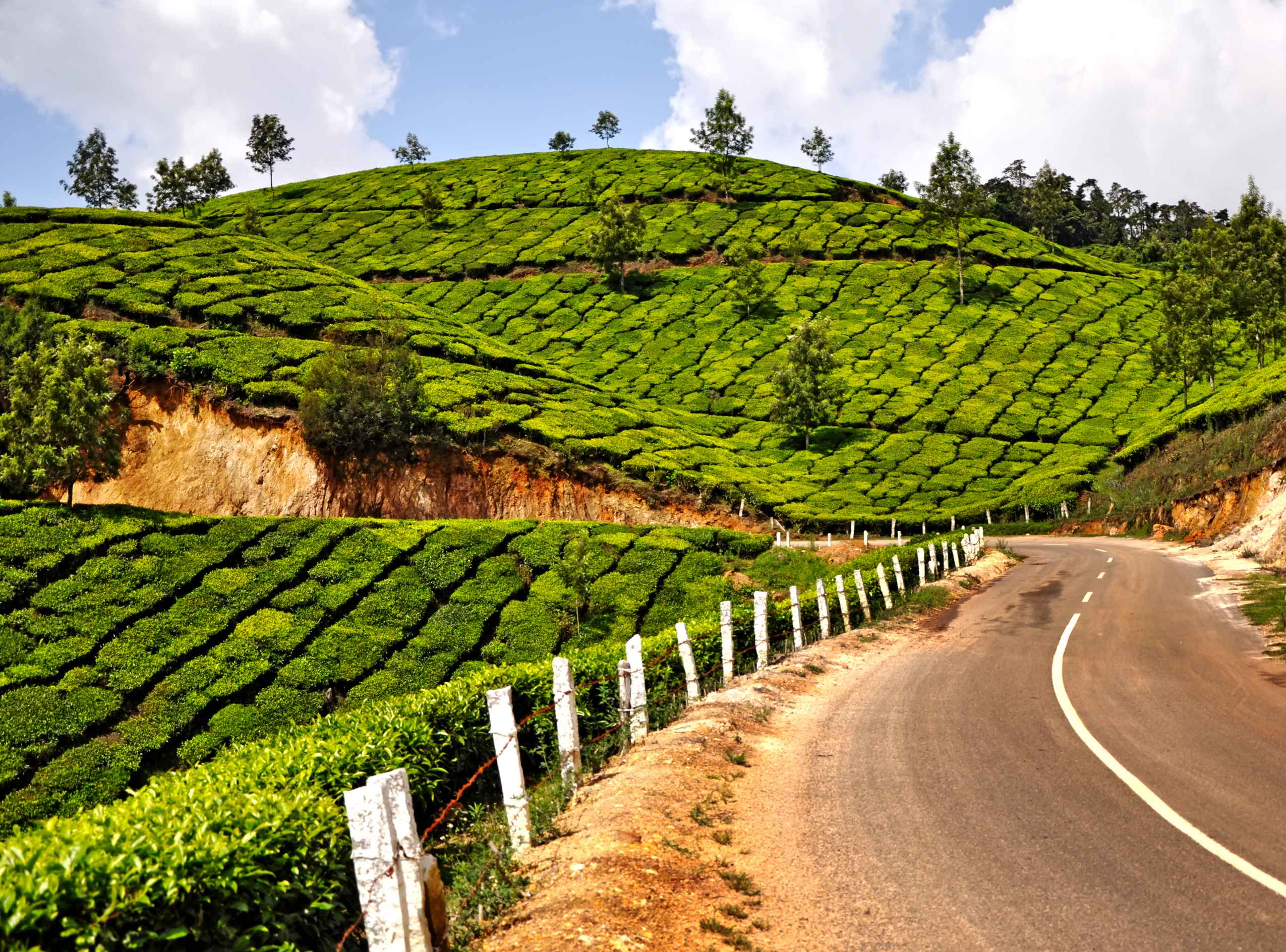 Day4 : Exploring Munnar