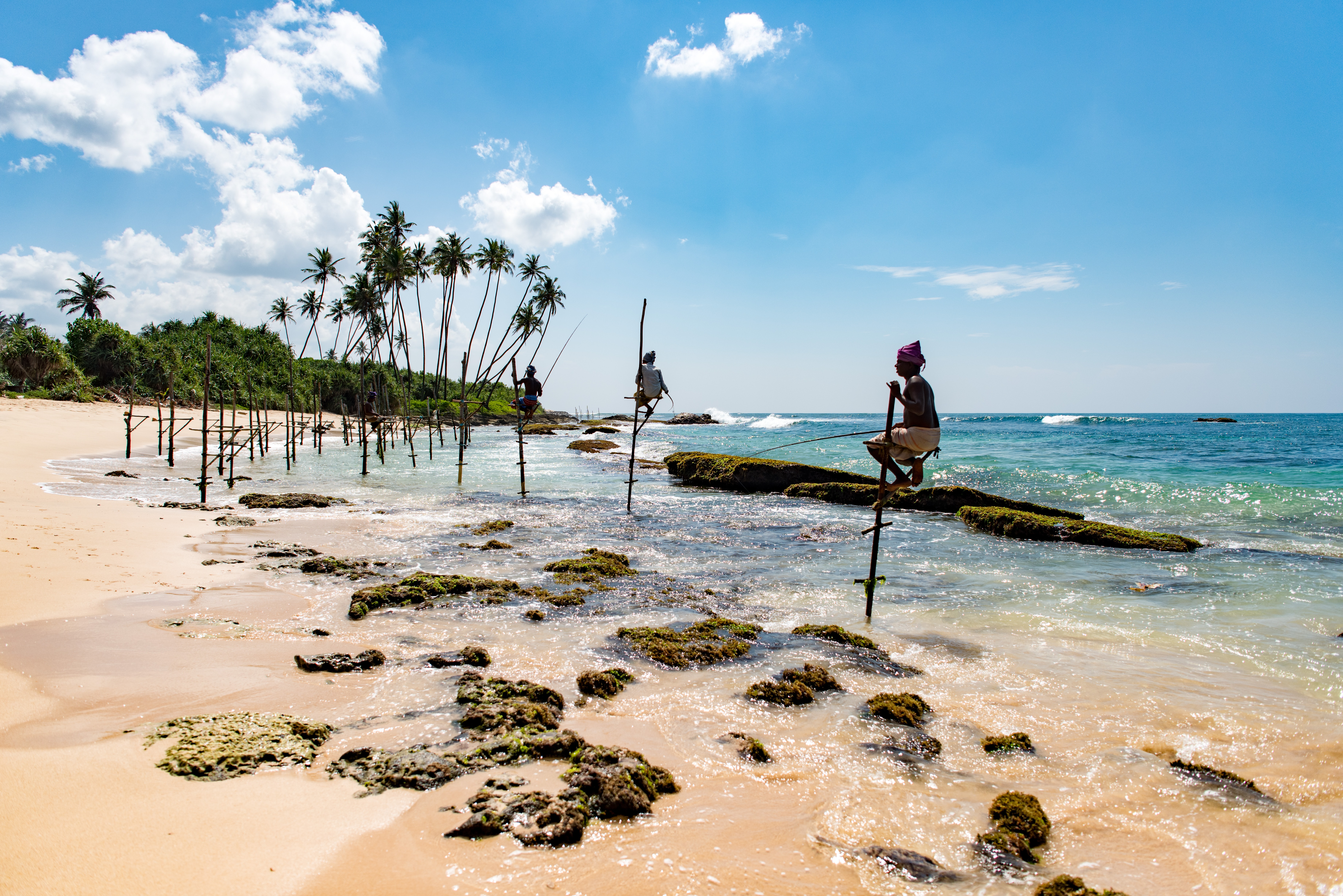 Jour5 : Trincomalee - Pigeon Island - Trincomalee