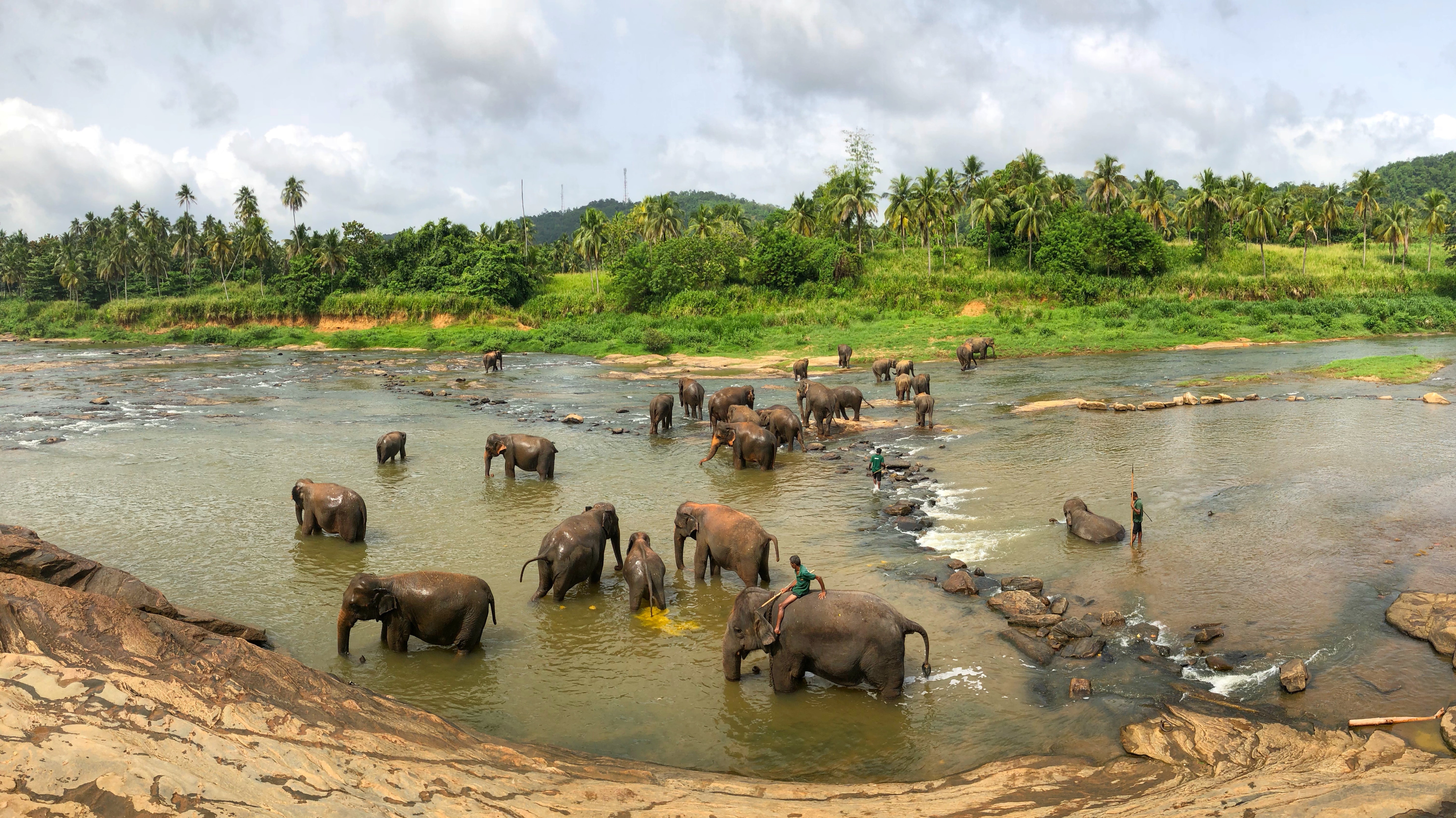 Jour9 : Nuwara Eliya - Yala