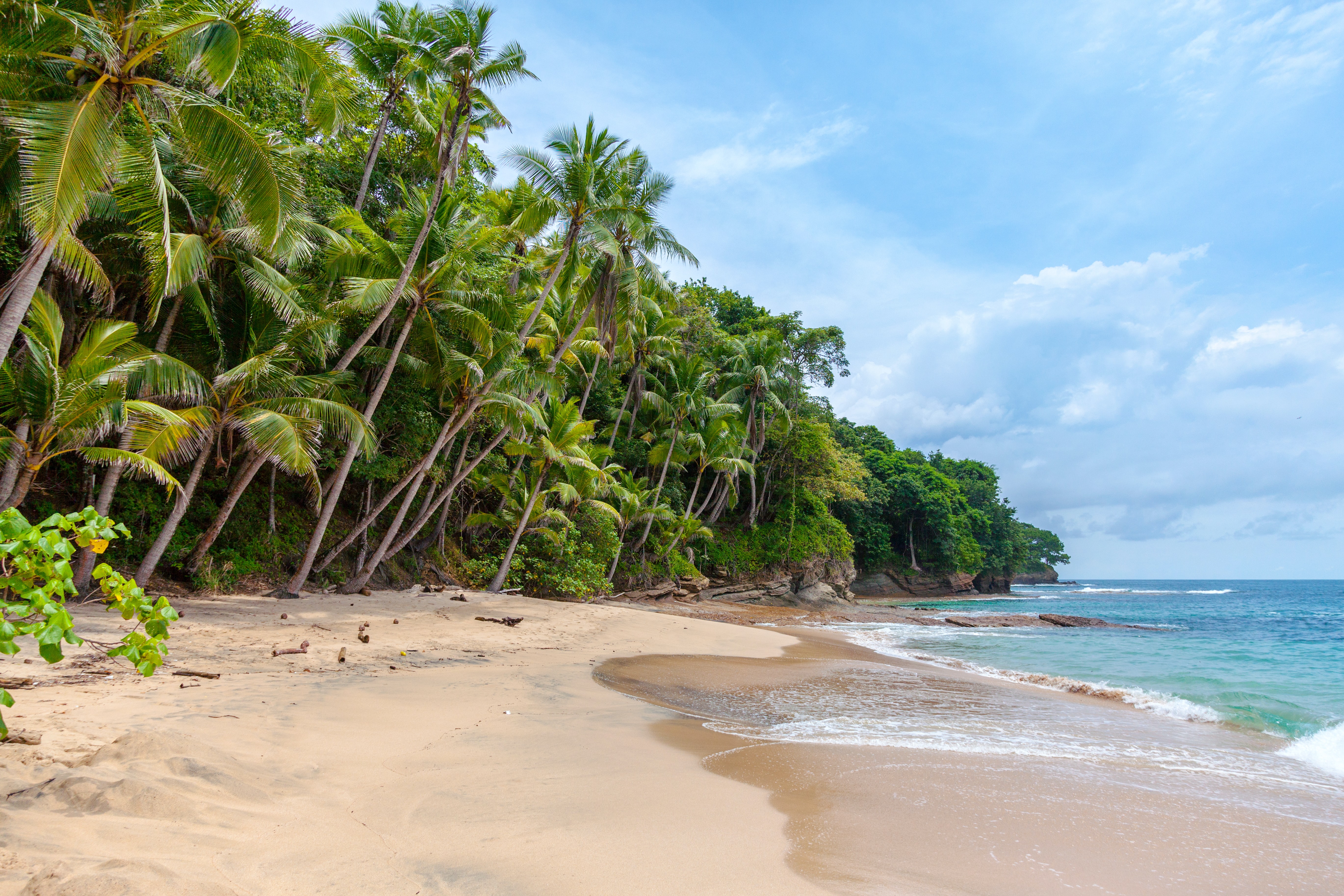 Jour1 : Arrivée (Negombo)