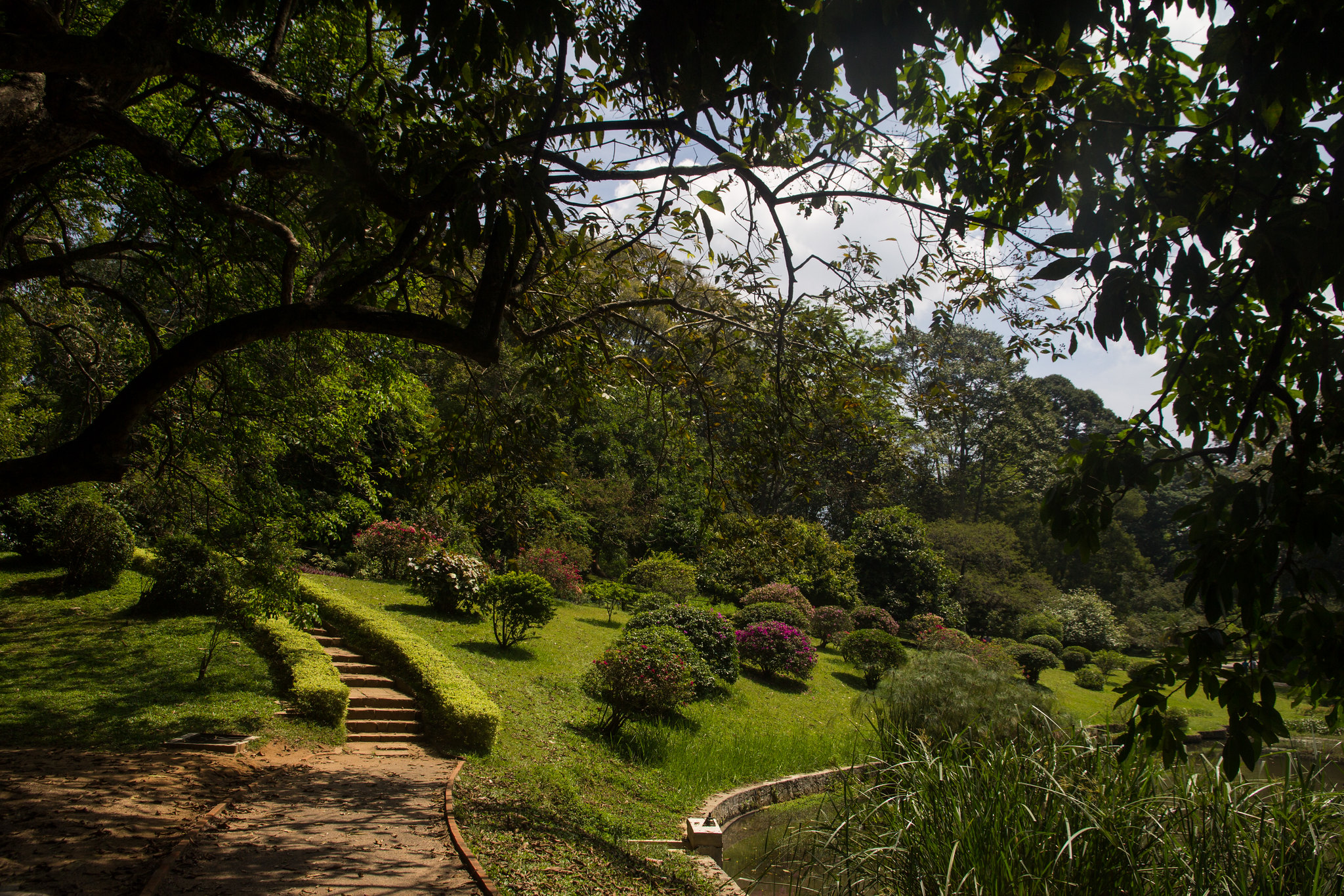 Jour8 : Kandy - Peradeniya - Nuwara Eliya