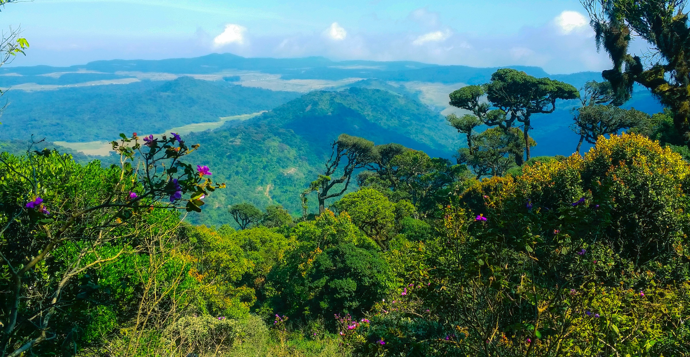 Day7 : Ella - Nuwara Eliya (2-hour train ride)