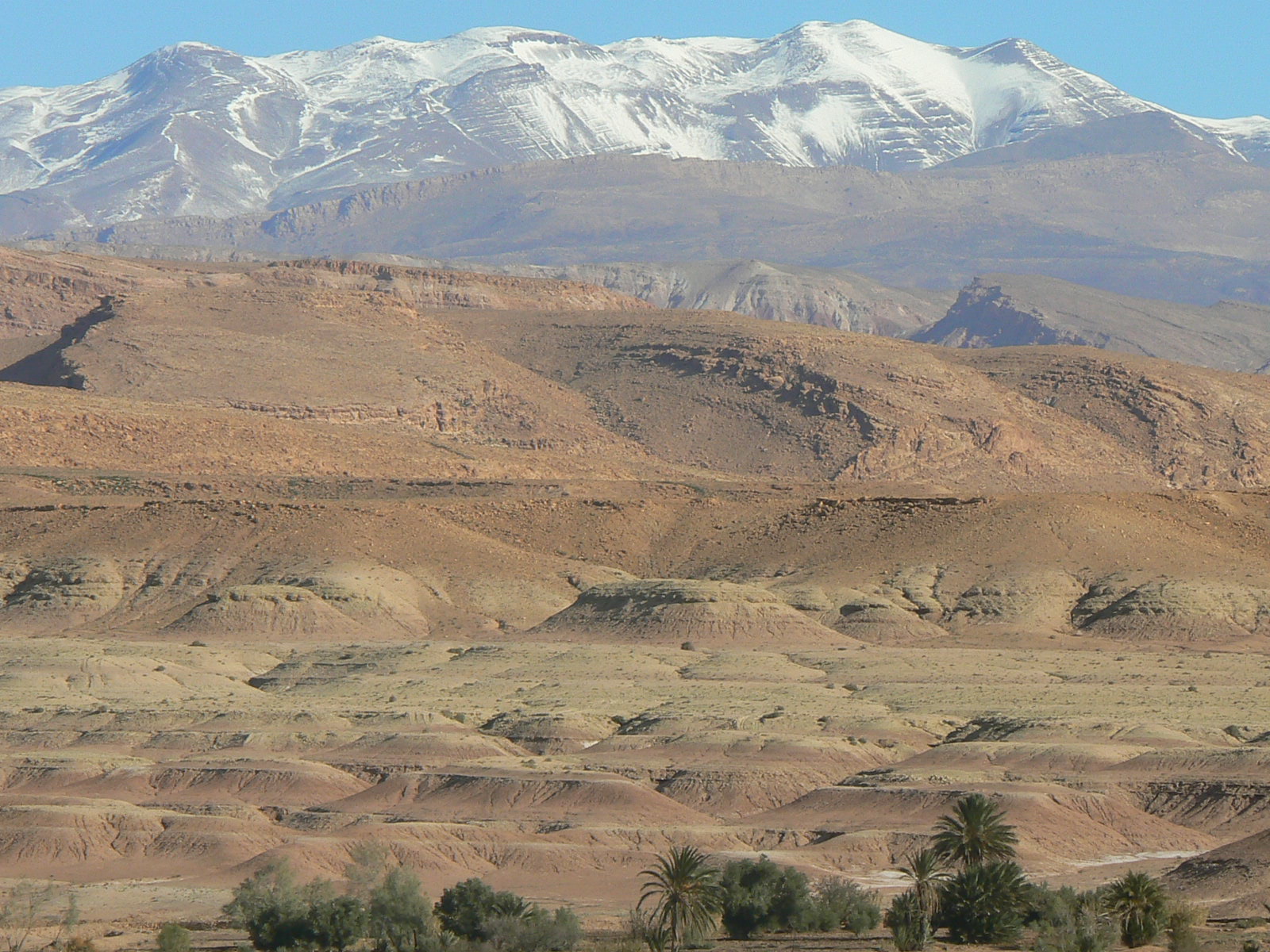 Jour5 : Kasbahs et ksour de la Vallée du Drâa