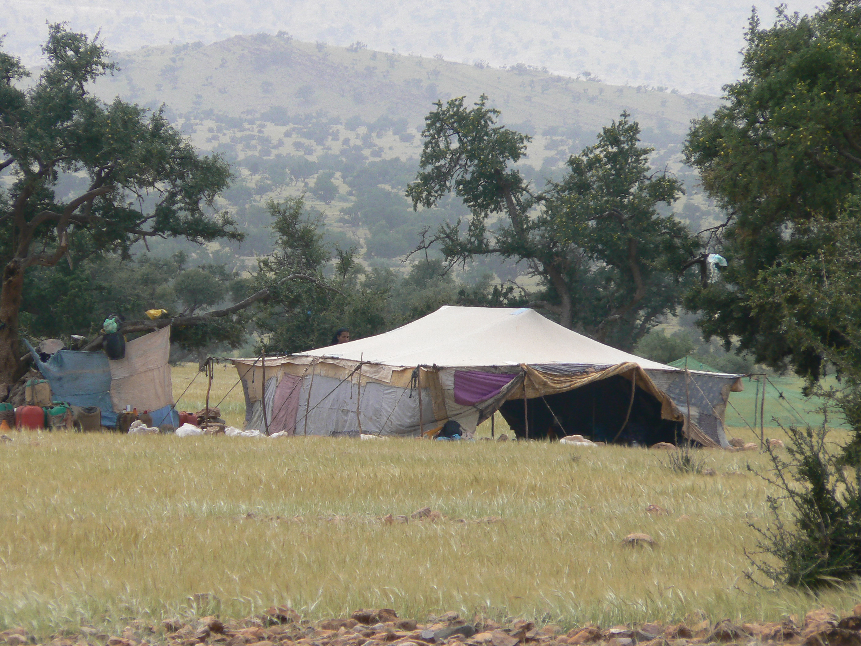 Jour6 : Taroudant