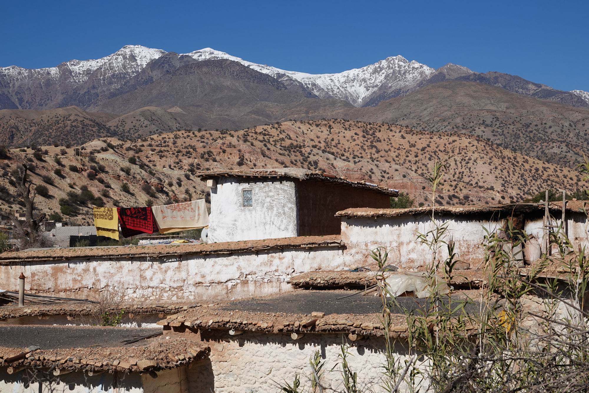 Day6 : Trekking or 4x4 ride in the high mountains