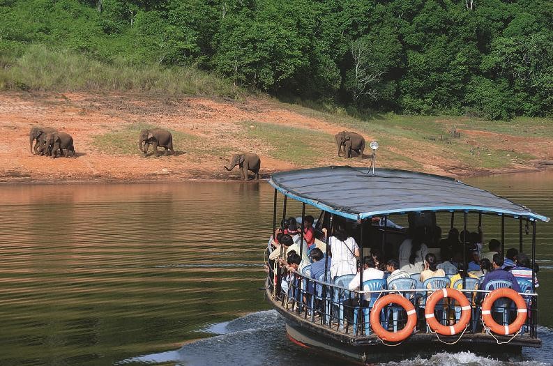 Jour3 : Kochi - Periyar