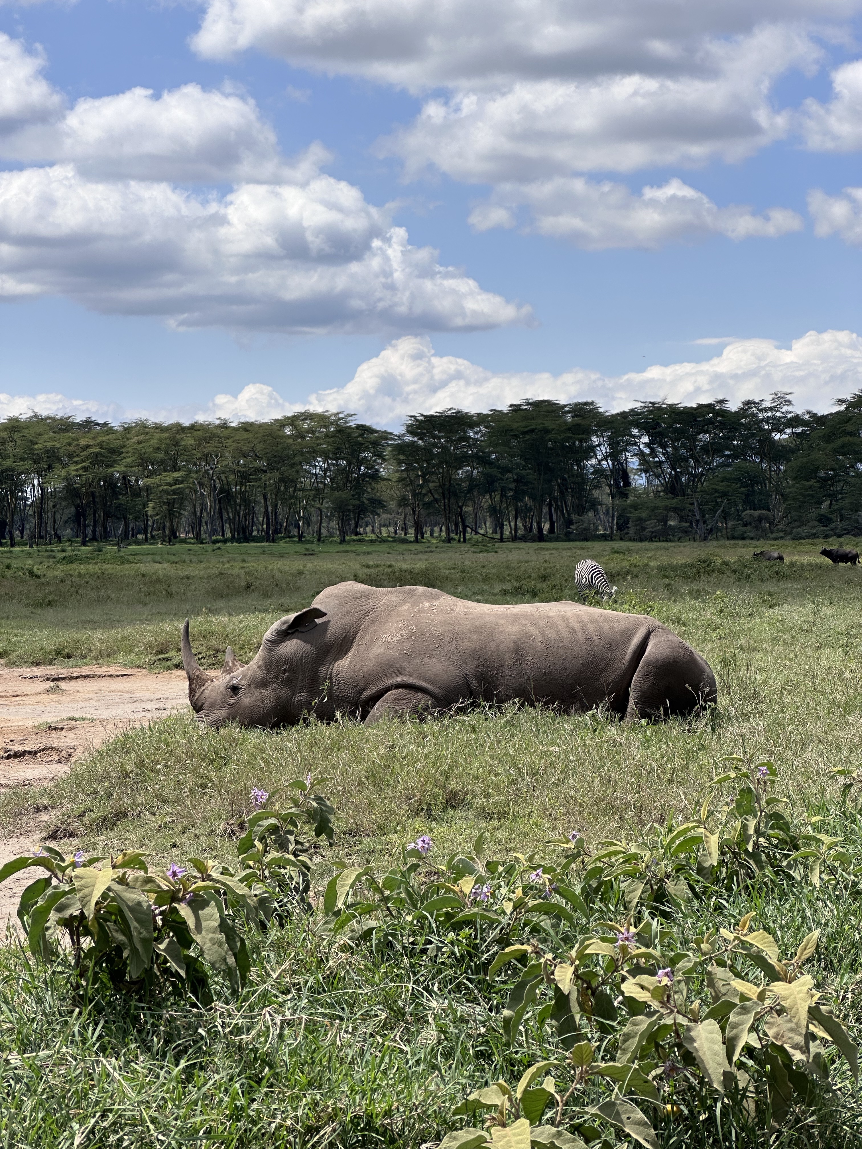 Day3 : Drive to Lake Nakuru National Park