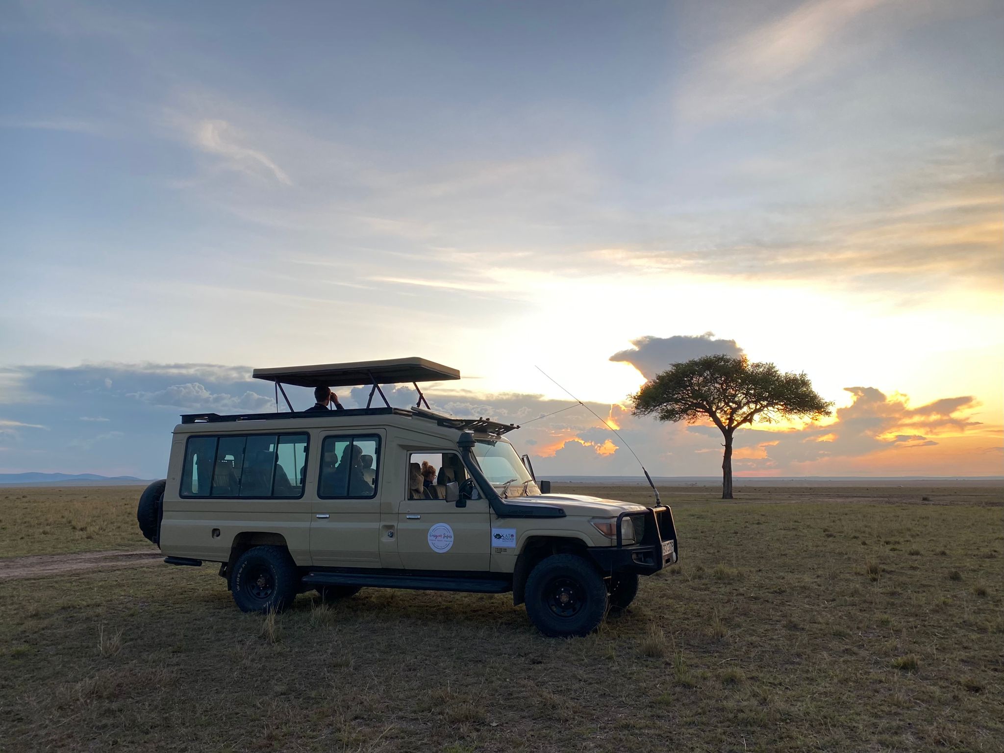 Day6 : Discover Big Cats and More in the Masai Mara